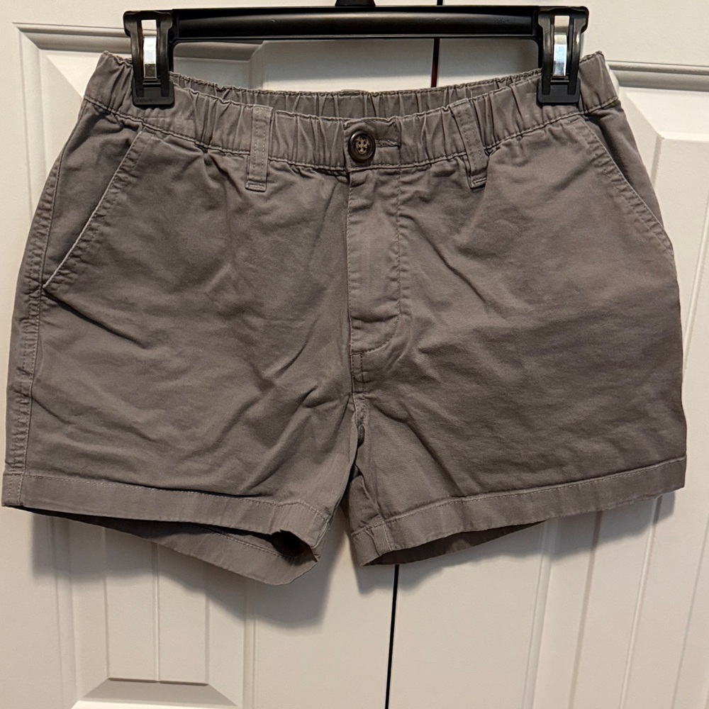 Gray Men’s Chubbies Casual Shorts
